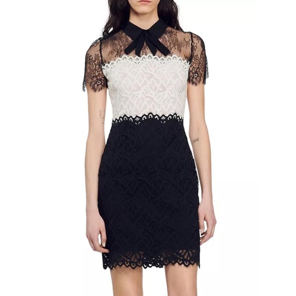 Sandro Paris Rozen Lace Sheath Dress - Picture 15 of 16